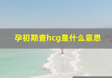 孕初期查hcg是什么意思