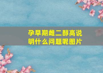 孕早期雌二醇高说明什么问题呢图片