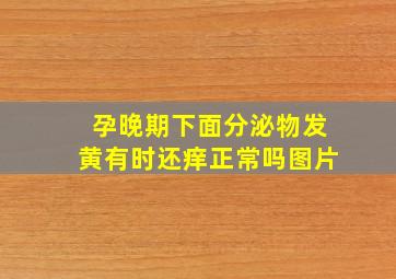 孕晚期下面分泌物发黄有时还痒正常吗图片