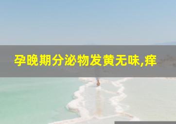 孕晚期分泌物发黄无味,痒