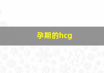 孕期的hcg