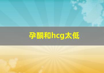 孕酮和hcg太低