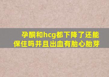 孕酮和hcg都下降了还能保住吗并且出血有胎心胎芽