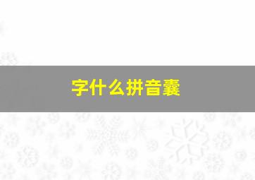 字什么拼音囊