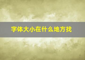 字体大小在什么地方找