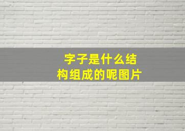 字子是什么结构组成的呢图片