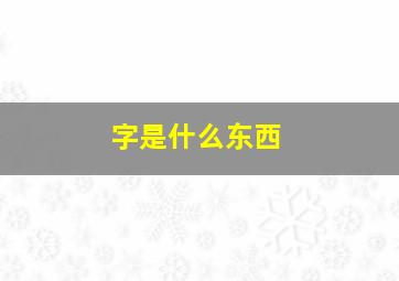 字是什么东西