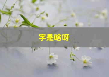 字是啥呀