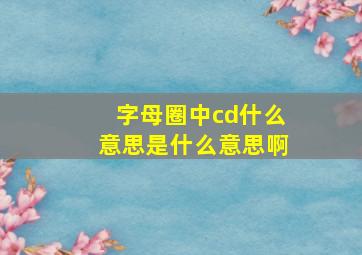 字母圈中cd什么意思是什么意思啊