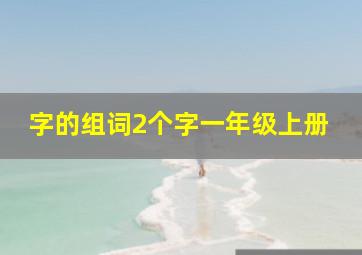 字的组词2个字一年级上册