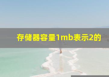 存储器容量1mb表示2的