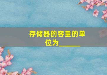 存储器的容量的单位为______