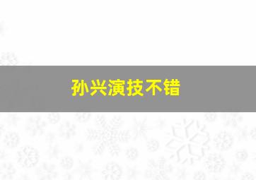 孙兴演技不错