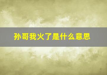 孙哥我火了是什么意思