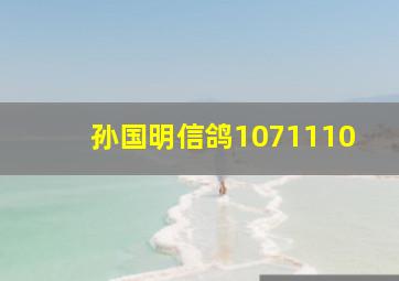 孙国明信鸽1071110