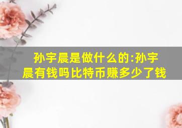 孙宇晨是做什么的:孙宇晨有钱吗比特币赚多少了钱