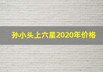 孙小头上六星2020年价格