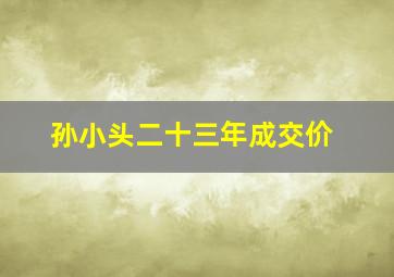 孙小头二十三年成交价