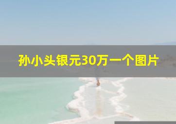 孙小头银元30万一个图片