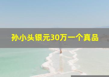 孙小头银元30万一个真品