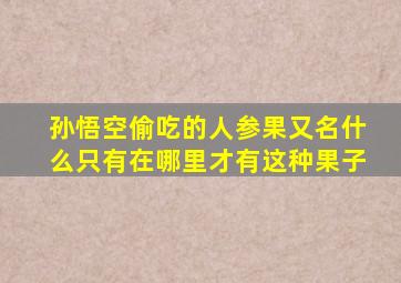 孙悟空偷吃的人参果又名什么只有在哪里才有这种果子