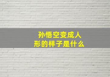 孙悟空变成人形的样子是什么