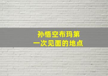 孙悟空布玛第一次见面的地点