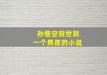 孙悟空转世到一个男孩的小说