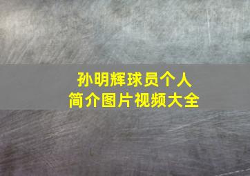 孙明辉球员个人简介图片视频大全