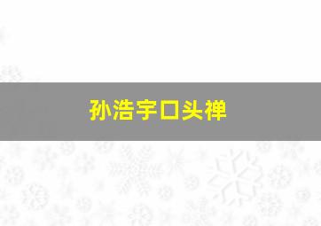 孙浩宇口头禅