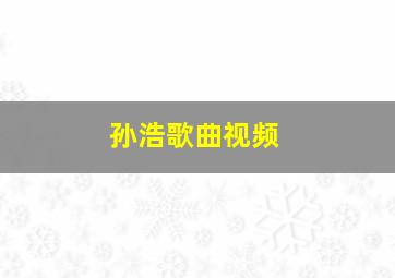 孙浩歌曲视频