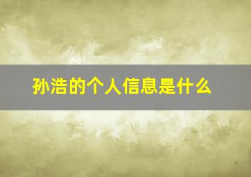 孙浩的个人信息是什么