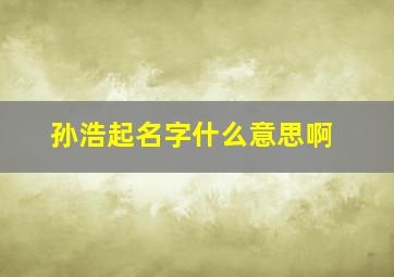 孙浩起名字什么意思啊