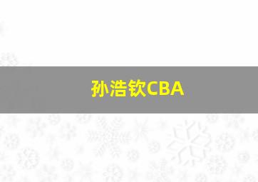 孙浩钦CBA