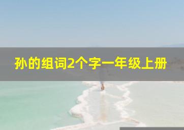 孙的组词2个字一年级上册