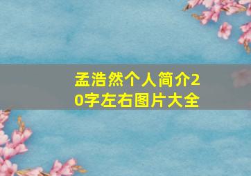 孟浩然个人简介20字左右图片大全