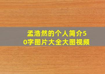 孟浩然的个人简介50字图片大全大图视频