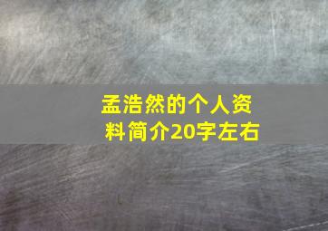 孟浩然的个人资料简介20字左右