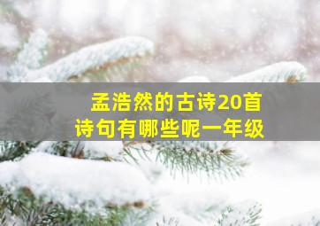 孟浩然的古诗20首诗句有哪些呢一年级