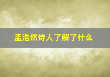 孟浩然诗人了解了什么