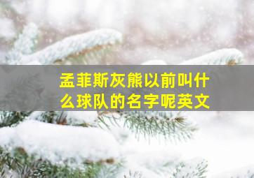 孟菲斯灰熊以前叫什么球队的名字呢英文