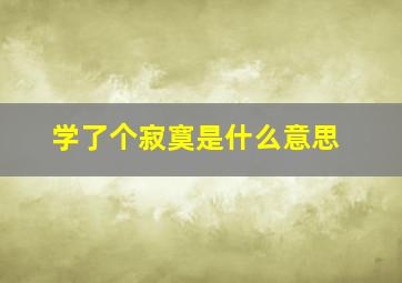 学了个寂寞是什么意思