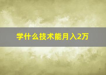 学什么技术能月入2万