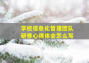 学校信息化管理团队研修心得体会怎么写