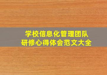 学校信息化管理团队研修心得体会范文大全