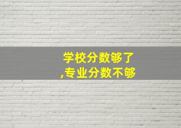 学校分数够了,专业分数不够