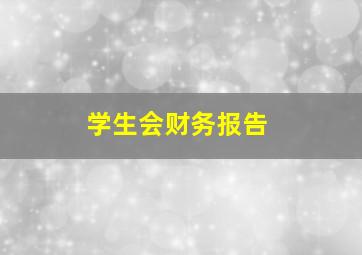 学生会财务报告