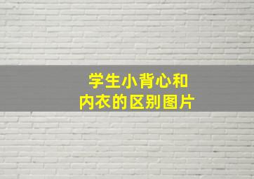 学生小背心和内衣的区别图片