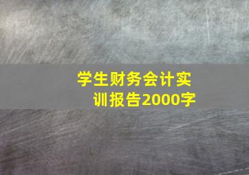 学生财务会计实训报告2000字