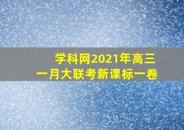 学科网2021年高三一月大联考新课标一卷